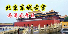 肏逼美女被强奸到高湖的視频中国北京-东城古宫旅游风景区