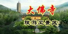 啊嗯…大鸡巴…芊芊视频中国浙江-新昌大佛寺旅游风景区